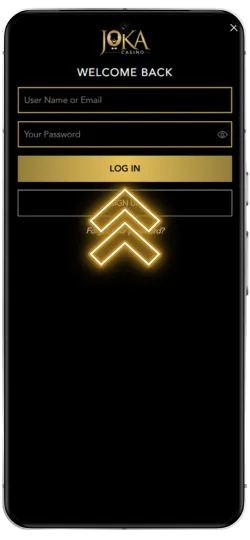 Casino joka vip login